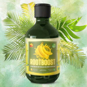 Rootboost